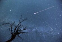 Минута отдыха Когда начнется звездопад Персеиды и как его правильно смотреть Интересное 