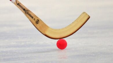 Минута отдыха Иркутск примет чемпионат мира по хоккею с мячом осенью 2021 года Спорт  Минута отдыха Иркутск примет чемпионат мира по хоккею с мячом осенью 2021 года Спорт
