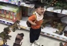 Минута отдыха 14 фото из серии «Что здесь вообще происходит?» Интересное 