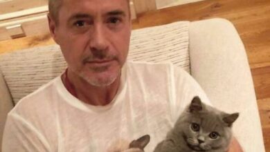 Минута отдыха Знаменитости, как и мы, без ума от своих кошек (17 фото) - 10.03.2021 Знаменитости 