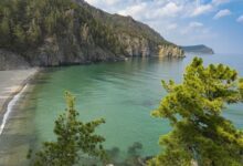 Минута отдыха Очистить Байкал и сохранить. Что предлагают для этого учёные? Интересное 