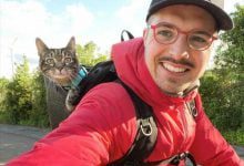 Минута отдыха Кошка вместе со своим хозяином участвует в экстремальных приключениях Животные 