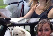 Минута отдыха 17 доказательств, что «У природы нет плохой погоды» бывает только в песнях Интересное 