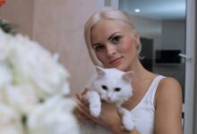 Минута отдыха Почему не все кошки любят сидеть на руках: эксперты нашли простое объяснение Животные 