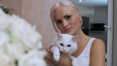 Минута отдыха Почему не все кошки любят сидеть на руках: эксперты нашли простое объяснение Животные  Минута отдыха Почему не все кошки любят сидеть на руках: эксперты нашли простое объяснение Животные