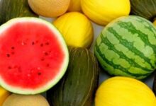 Минута отдыха Церковный и народный праздник 17 августа богат приметами и традициями Интересное 