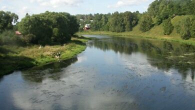 Минута отдыха Месяц климата и экологии. Как очистить реки, почвы и воздух? Интересное  Минута отдыха Месяц климата и экологии. Как очистить реки, почвы и воздух? Интересное