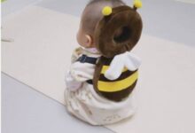 Минута отдыха Необычные изобретения, созданные для конкретных целей (14 фото) Интересное 