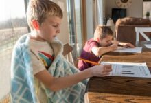 Минута отдыха «А может, ну ее, эту школу?» 6 проблем семейного образования Дети 