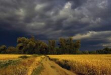 Минута отдыха Предсказания о конце света в 2021 году от монахини матери Терезы Интересное 