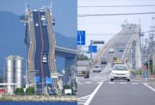 Минута отдыха Тиктокер объяснил загадку японского моста, по которому машины взбираются как по отвесной стене Интересное 