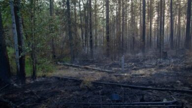 Минута отдыха Власти Приморья сообщили о снятии особого противопожарного режима Интересное  Минута отдыха Власти Приморья сообщили о снятии особого противопожарного режима Интересное