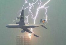 Минута отдыха Широко распространённые нелепые заблуждения Интересное 