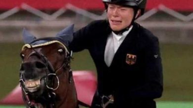 Минута отдыха Атлетка рыдала, а конь улыбался: скандал вокруг выступления атлетки на Олимпиаде Спорт 