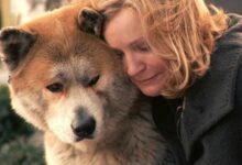 Минута отдыха 15 фильмов про животных, которые стоит посмотреть Животные 