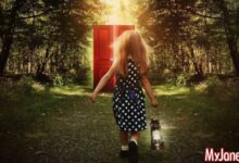 Минута отдыха Сказкотерапия: 3 лучшие истории, которые избавляют от детских страхов Дети 