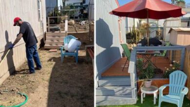 Минута отдыха Интернет-пользователи показали, как обустроили свои приусадебные участки во время карантина (37 фото) Интересное 