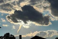 Минута отдыха Природе ещё есть чем нас удивить (20 фото) Интересное 