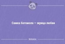 Минута отдыха Анекдотов пост (11 шт) Анекдоты 