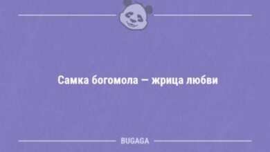Минута отдыха Анекдотов пост (11 шт) Анекдоты 