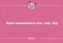 Минута отдыха Свежие анекдоты (12 шт) Анекдоты 