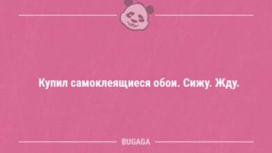 Минута отдыха Свежие анекдоты (12 шт) Анекдоты 