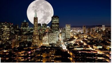 Минута отдыха Зачем во время Золотого полнолуния 24 июля нужно мыть три раза голову Интересное 