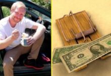 Минута отдыха Как удалось австралийскому студенту два года жить за счет банка Интересное 