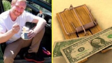 Минута отдыха Как удалось австралийскому студенту два года жить за счет банка Интересное  Минута отдыха Как удалось австралийскому студенту два года жить за счет банка Интересное