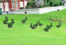 Минута отдыха Интересные снимки обо всём на свете (15 фото) Интересное 