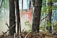 Минута отдыха Площадь лесного пожара в Мордовии увеличилась до 3 тыс. га Интересное 