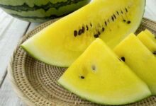 Минута отдыха Как вывели сорт арбуза «Яйцо дракона», и чем он отличается от обычного красного Интересное 