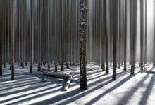 Минута отдыха Феномен «пороговых пространств»: они пугающие и манящие одновременно Интересное 