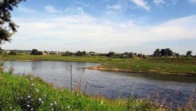 Минута отдыха В Башкирии пятиклассники спасли утопающего мальчика Дети  Минута отдыха В Башкирии пятиклассники спасли утопающего мальчика Дети