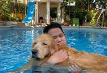 Минута отдыха Они без ума от своих питомцев и это взаимно Животные 