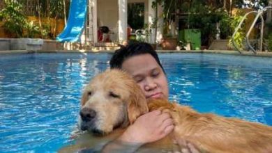 Минута отдыха Они без ума от своих питомцев и это взаимно Животные 