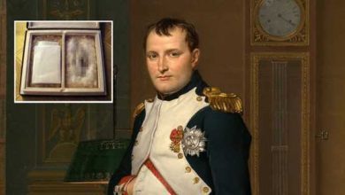 Минута отдыха Исторические личности, части тел которых были украдены после смерти Интересное  Минута отдыха Исторические личности, части тел которых были украдены после смерти Интересное