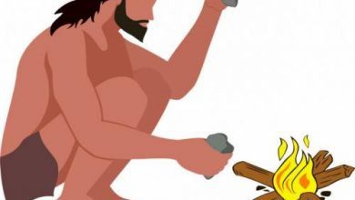 Минута отдыха Топ-10: Интересные и странные факты про неандертальцев Интересное  Минута отдыха Топ-10: Интересные и странные факты про неандертальцев Интересное