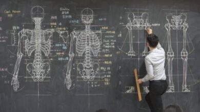 Минута отдыха Преподаватель университета набирает популярность в соцсетях благодаря своим безумно подробным рисункам на доске (7 фото) Интересное  Минута отдыха Преподаватель университета набирает популярность в соцсетях благодаря своим безумно подробным рисункам на доске (7 фото) Интересное