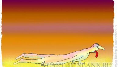 Минута отдыха Усталость Анекдоты 