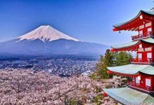 Минута отдыха Распространенные мифы о японской культуре Интересное 