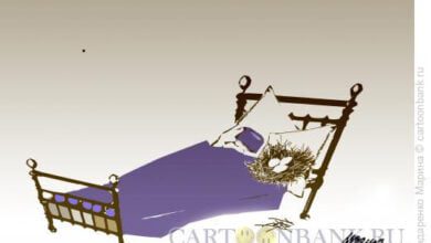 Минута отдыха Гнездо в постели Анекдоты 