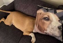 Минута отдыха 15 непонятных фото для любителей поработать мозгами Интересное 