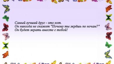 Минута отдыха Фразы с крыльями №1 Анекдоты 