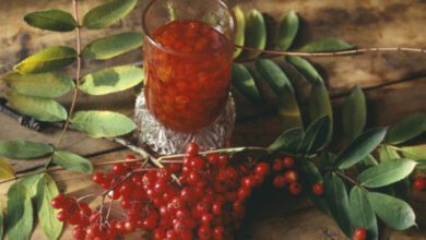 Минута отдыха Какую молитву прочесть в праздник Петра и Павла Рябинников для защиты от злых людей и бед Интересное 