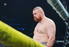 Минута отдыха Дацик обвинил братьев Емельяненко в договорных боях Спорт 