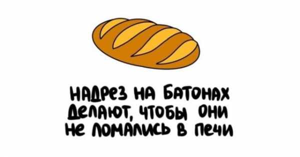 Минута отдыха Короткие любопытные факты на все случаи жизни Интересное  
