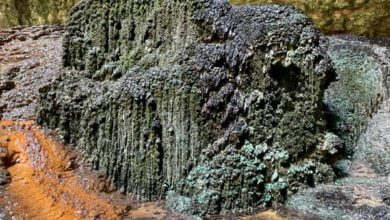 Минута отдыха Ученые впервые опустились на дно Адского колодца в Йемене Интересное 