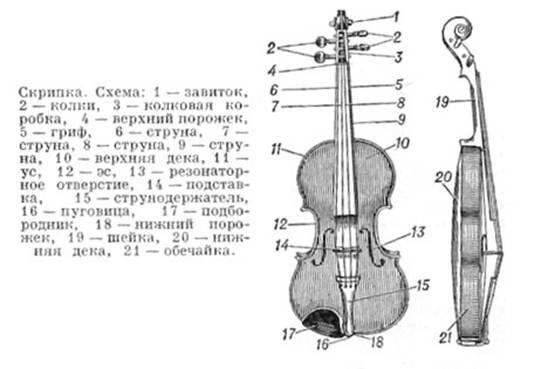 Минута отдыха Секреты скрипок Страдивари и почему их так трудно воссоздать Интересное  