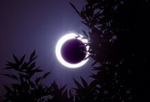 Минута отдыха Когда в 2022 году жителей Земли ожидают солнечные и лунные затмения Интересное 